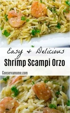 Plate of easy and delicious shrimp scampi orzo with garlic and herbs