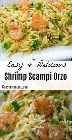 Plate of easy and delicious shrimp scampi orzo with garlic and herbs