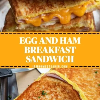 Scrambled eggs with ham served on a plate for breakfast