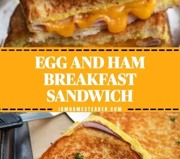 Scrambled eggs with ham served on a plate for breakfast