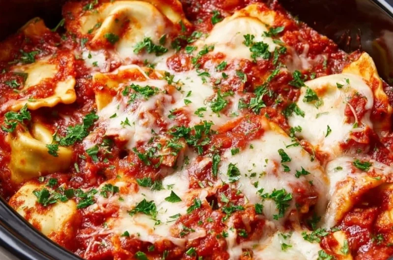 A variety of slow cooker dump dinners ready to serve for family meals.