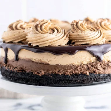 Delicious mocha cheesecake topped with chocolate and coffee flavors
