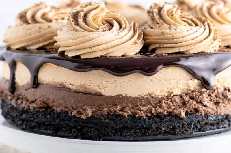 Delicious mocha cheesecake topped with chocolate and coffee flavors